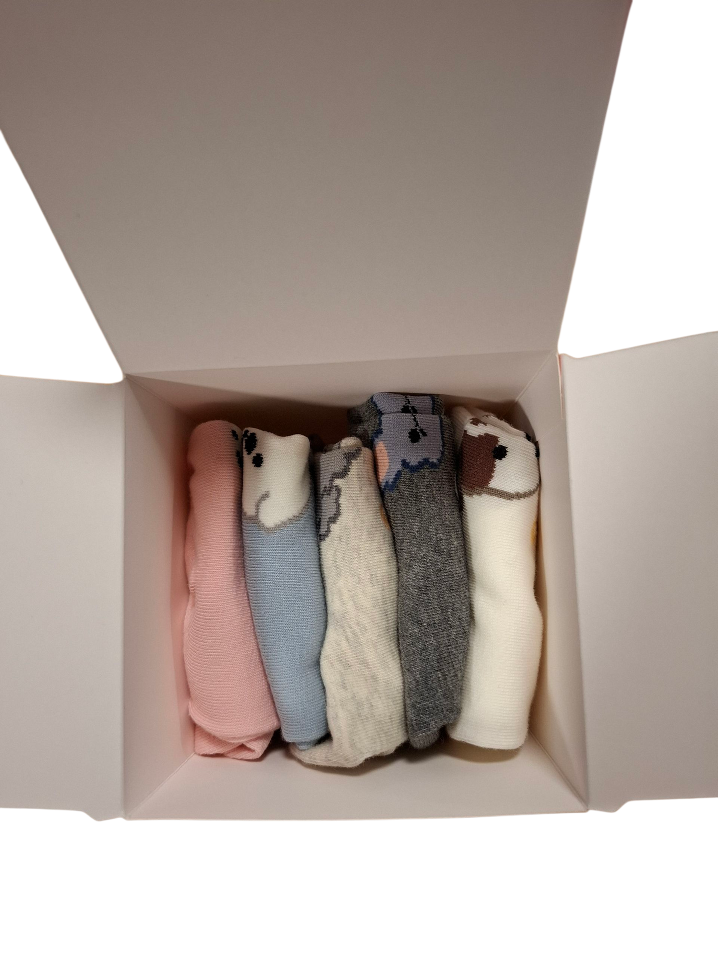 Box 5 socquettes chien