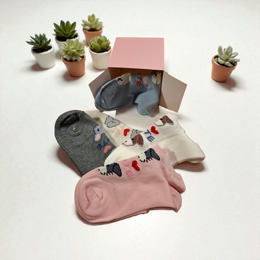 Box 5 socquettes chien